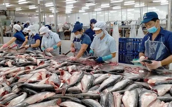 Liên minh châu Âu tăng cường kiểm soát thủy sản nhập khẩu