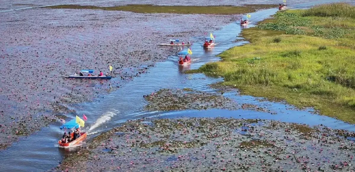 Hiệu ứng Lisa (BLACKPINK) gi&uacute;p du lịch Th&aacute;i Lan tăng tốc   - Ảnh 2.