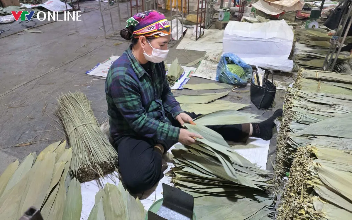 Công việc này phù hợp với nhiều lứa tuổi khác nhau.