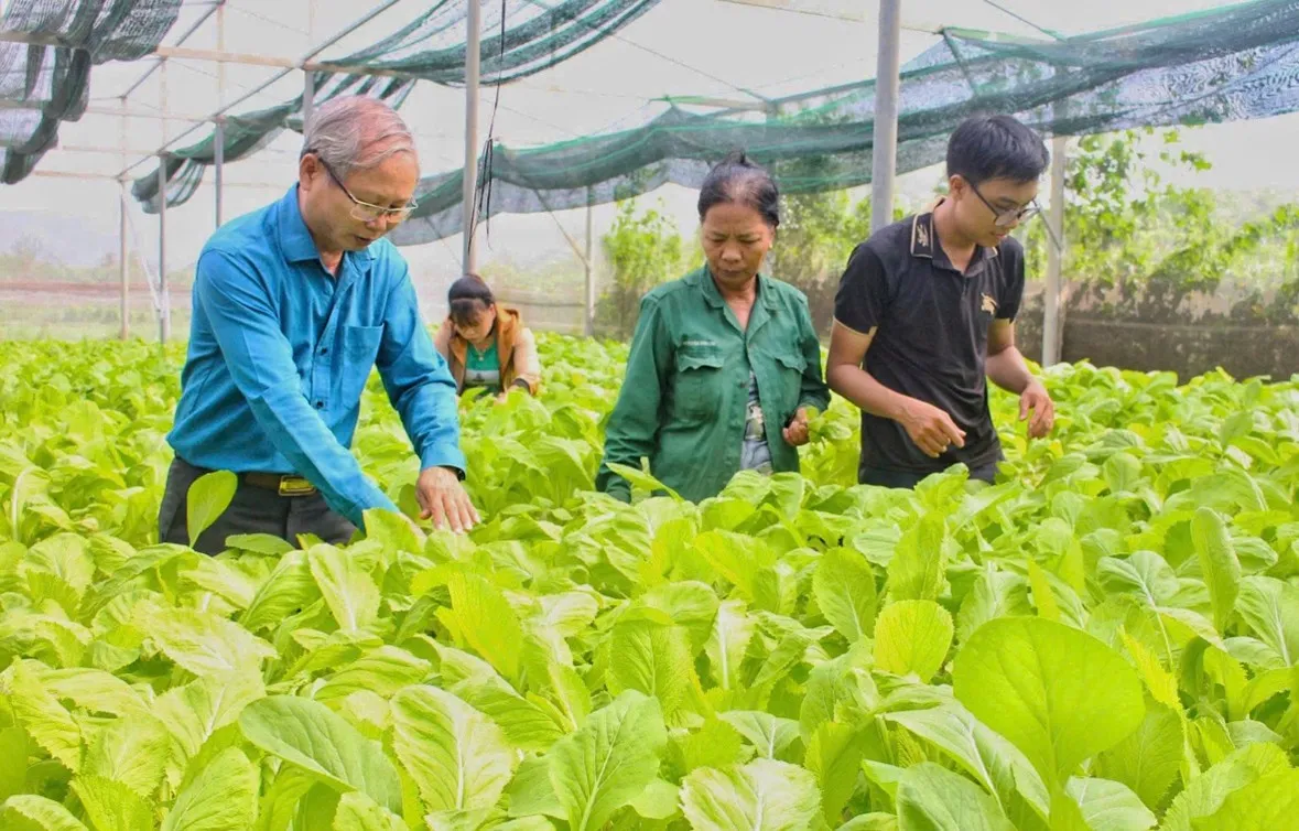 Thủ phủ kiệu Tết của Đà Nẵng được mùa - Ảnh 2.