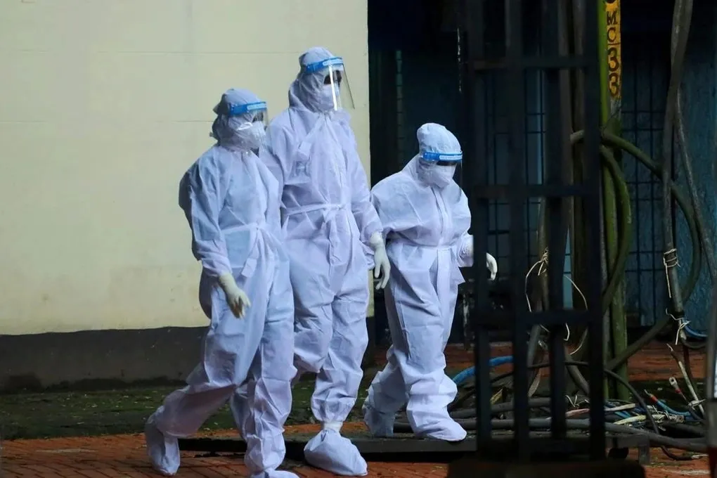 Chuy&ecirc;n gia ĐH Y Harvard: Virus Nipah nguy hiểm nhưng kh&oacute; b&ugrave;ng ph&aacute;t diện rộng tại Việt Nam- Ảnh 1.