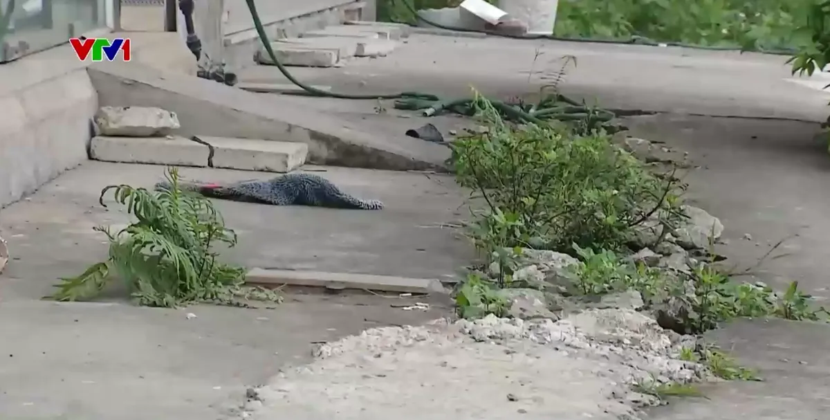 Bị cắt vỉa h&egrave;, l&ograve;ng đường v&igrave; chồng lấn quy hoạch tại khu d&acirc;n cư Phương Cầu - Ảnh 3.