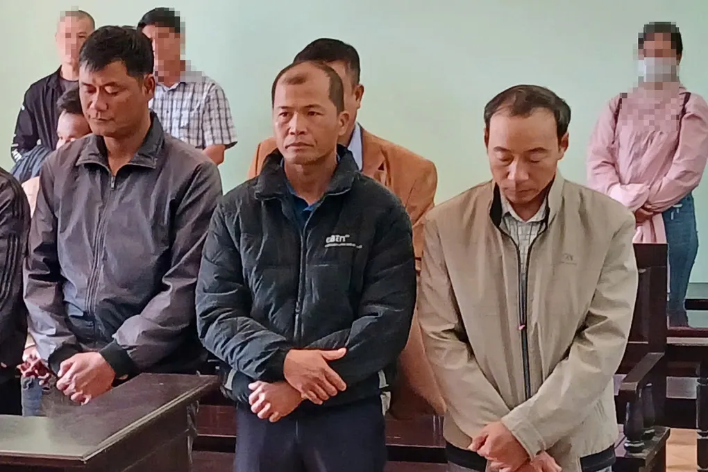 Ba nh&acirc;n vi&ecirc;n bảo vệ rừng ở Gia Lai nhận hối lộ, &ldquo;bật đ&egrave;n xanh&rdquo; cho ph&aacute; rừng l&atilde;nh &aacute;n t&ugrave;- Ảnh 1.