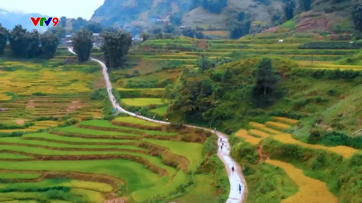 Vượt lên số phận, bệnh nhân ung thư chạy marathon 70km