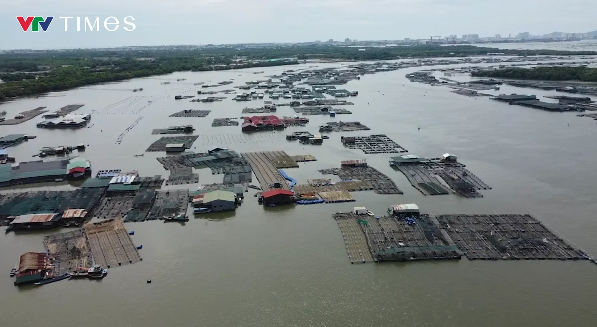 TP Hồ Ch&iacute; Minh: Chuy&ecirc;n gia &ldquo;Hiến kế&rdquo; ph&aacute;t triển x&atilde; Long Sơn theo hướng bền vững- Ảnh 4.