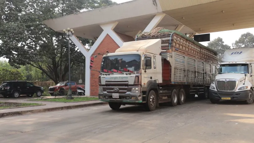 Th&aacute;o gỡ "n&uacute;t thắt" thủ tục kiểm tra an to&agrave;n thực phẩm tại cửa khẩu ở T&acirc;y Ninh- Ảnh 1.