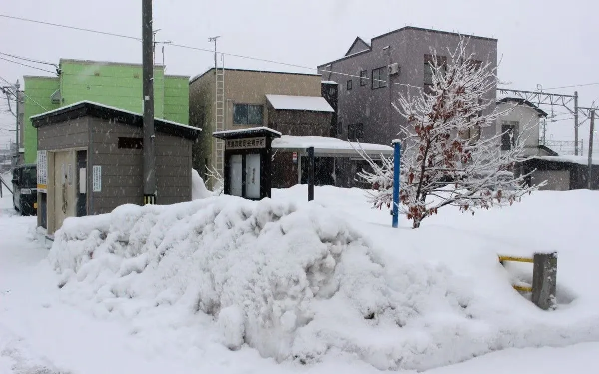 Tuyết rơi dày tại Nhật Bản, giao thông gián đoạn- Ảnh 1. Tuyết rơi dày tại Nhật Bản, giao thông gián đoạn- Ảnh 1.