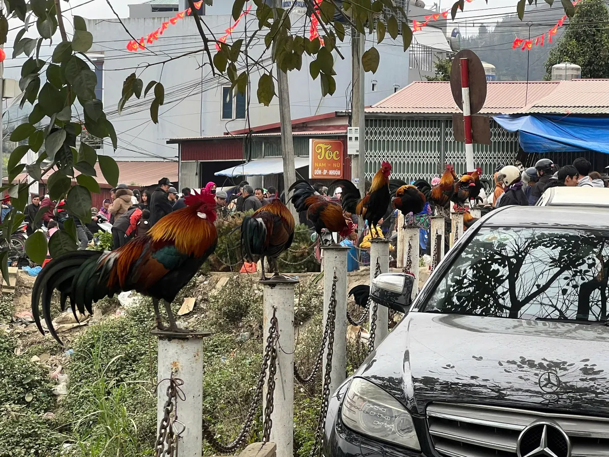 Sắc m&agrave;u v&ugrave;ng cao trong phi&ecirc;n chợ sớm Bắc H&agrave; ng&agrave;y đầu th&aacute;ng 2- Ảnh 7.