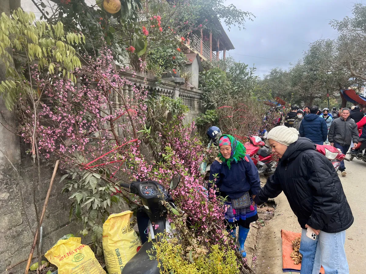 Sắc m&agrave;u v&ugrave;ng cao trong phi&ecirc;n chợ sớm Bắc H&agrave; ng&agrave;y đầu th&aacute;ng 2- Ảnh 3.