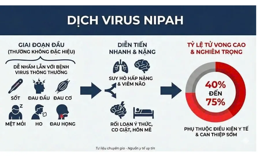 Virus Nipah: Nhận diện sớm triệu chứng v&agrave; c&aacute;ch ph&ograve;ng bệnh khi chưa c&oacute; vắc xin- Ảnh 1.