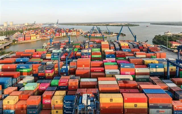 Nghị định 46 c&oacute; hiệu lực tức th&igrave;, h&agrave;ng trăm container thực phẩm &ugrave;n ứ tại cảng- Ảnh 1.