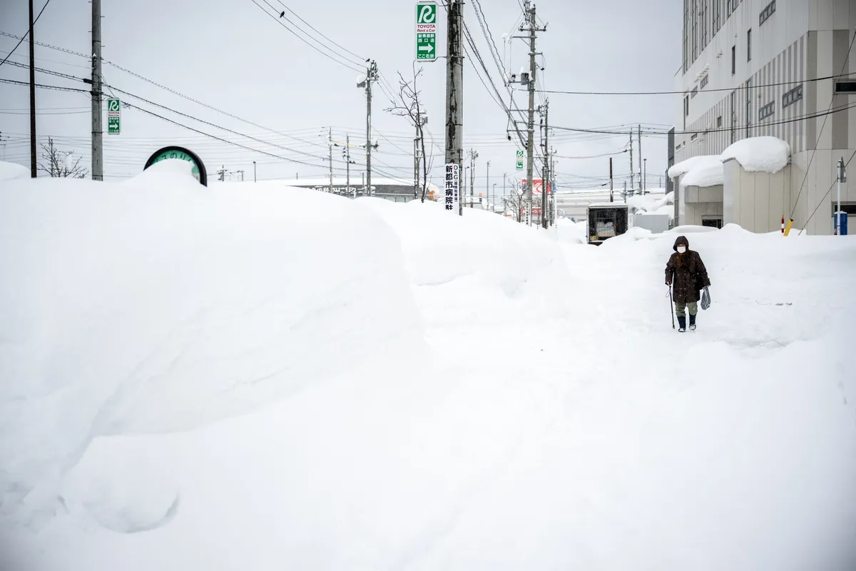 Tuyết rơi dày gây thiệt hại nghiêm trọng ở Nhật Bản - Ảnh 1.