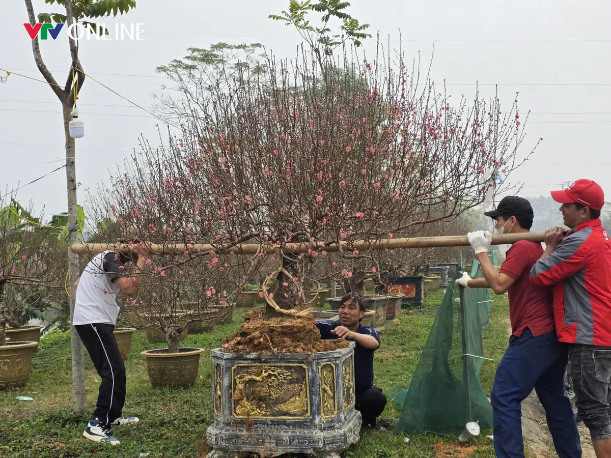 Ph&uacute; Thọ: L&agrave;ng đ&agrave;o Nh&agrave; N&iacute;t tất bật trước thềm Tết Nguy&ecirc;n đ&aacute;n - Ảnh 1.