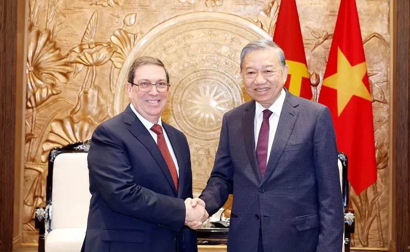 Th&uacute;c đẩy hợp t&aacute;c kinh tế Việt Nam - Cuba trong kỷ nguy&ecirc;n mới - Ảnh 1.