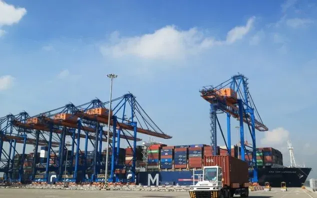 Hơn 54.000 doanh nghiệp gia nhập thị trường th&aacute;ng 1/2026, xuất khẩu khởi sắc trở lại- Ảnh 1.