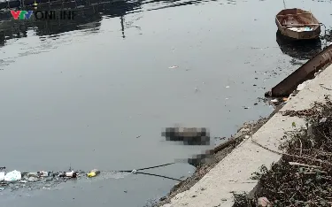 Hiện trường sự việc. (ảnh: Hồng Thanh)