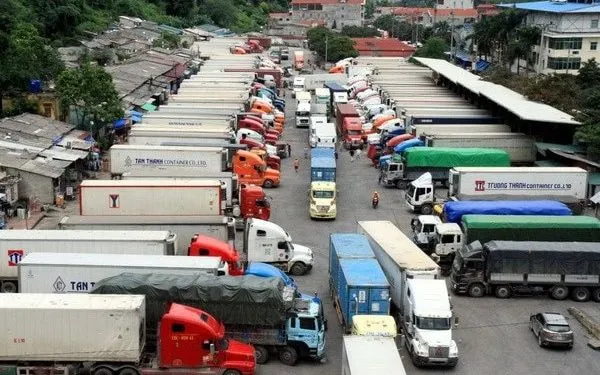 Nhiệm vụ và yêu cầu cấp bách đặt ra là phải có hướng dẫn, tổ chức thực hiện việc kiểm tra nhà nước đối với thực phẩm nhập khẩu