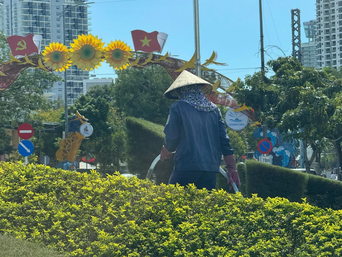 Khánh Hòa: Hoa Tết về, sắc xuân lan tỏa phố biển- Ảnh 8. Khánh Hòa: Hoa Tết về, sắc xuân lan tỏa phố biển- Ảnh 8.