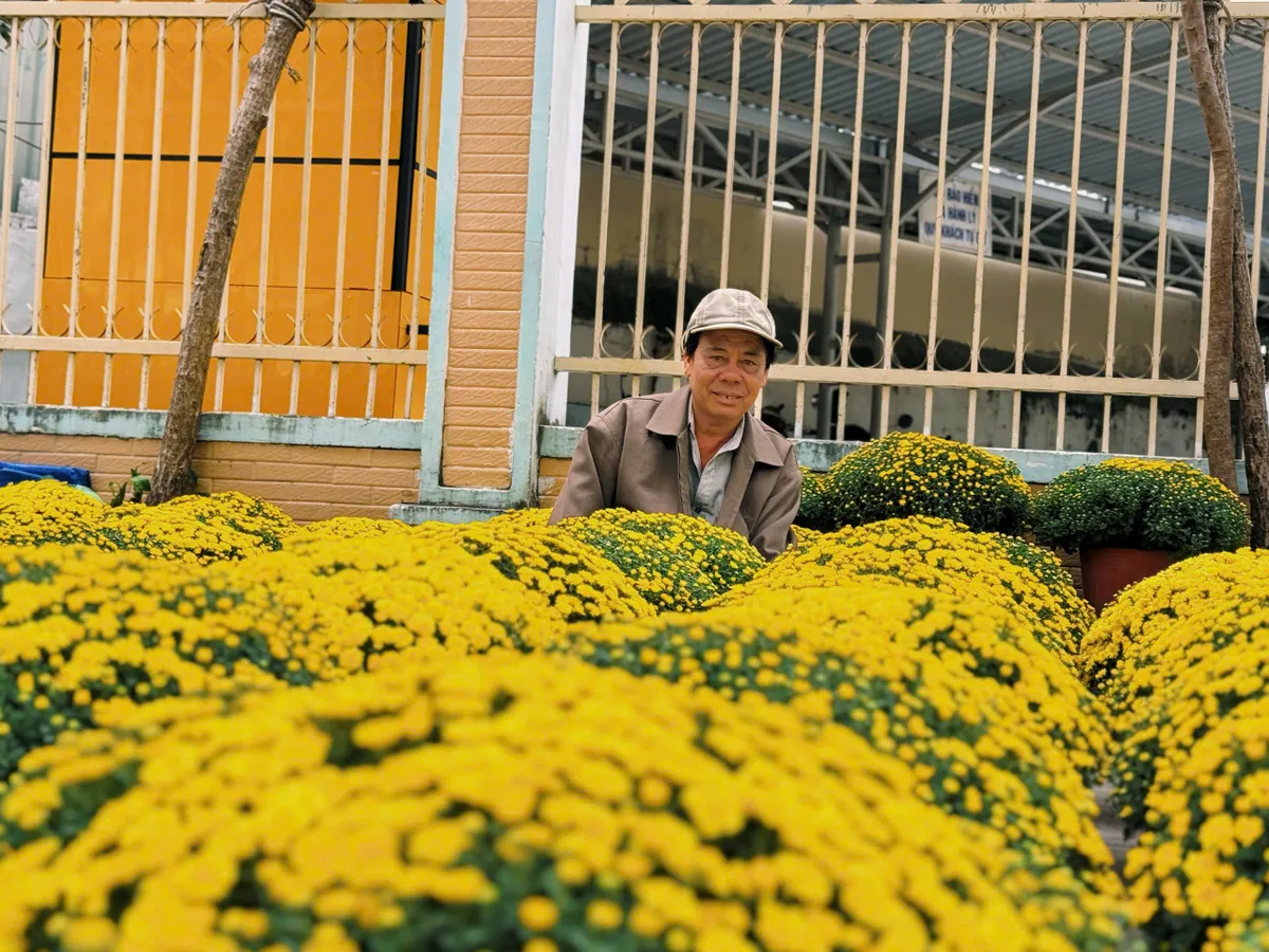 Khánh Hòa: Hoa Tết về, sắc xuân lan tỏa phố biển- Ảnh 10. Khánh Hòa: Hoa Tết về, sắc xuân lan tỏa phố biển- Ảnh 10.