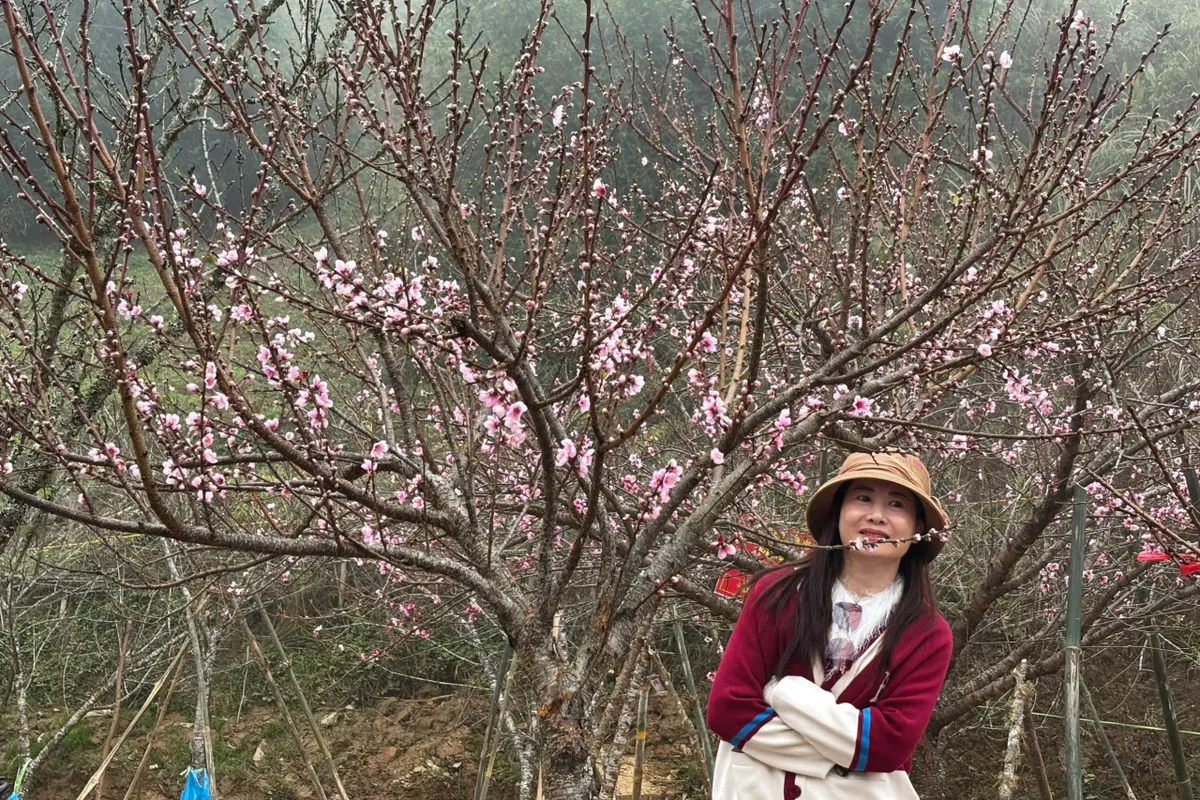Ngắm hoa đ&agrave;o, hoa mận bung nở tr&ecirc;n cung đường T&acirc;y Bắc - Ảnh 10.