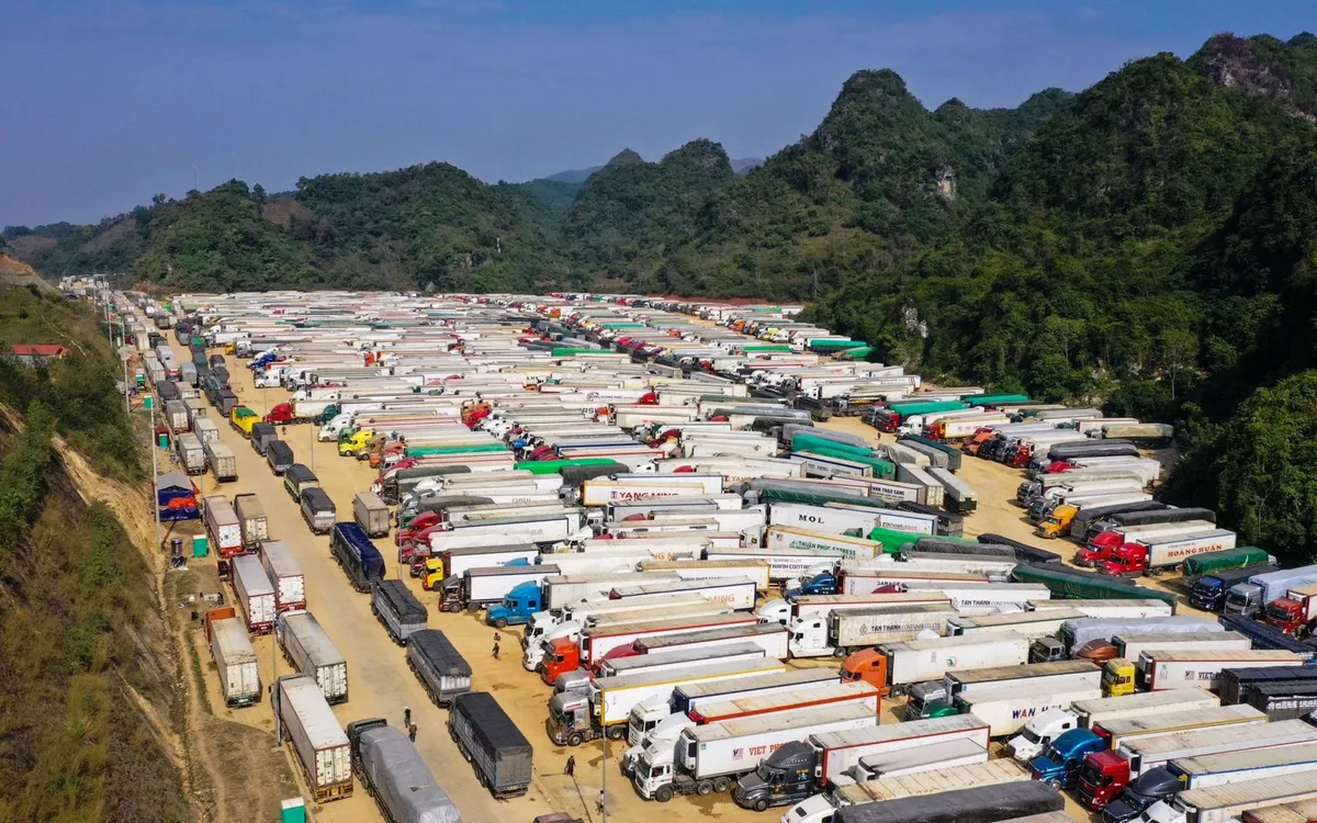 Nhiều doanh nghiệp kỳ vọng Công điện số 08/CĐ-TTg do Thủ tướng Phạm Minh Chính ký ban hành ngày 3/2/2026 sẽ nhanh chóng tháo gỡ khó khăn. 