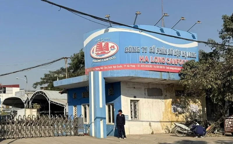 Đồ hộp Hạ Long lỗ gần 9,5 tỷ đồng qu&yacute; IV sau vụ việc 130 tấn thịt lợn nhiễm bệnh- Ảnh 1.