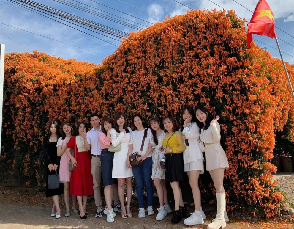 Ng&ocirc;i nh&agrave; phủ k&iacute;n hoa x&aacute;c ph&aacute;o ở L&acirc;m Đồng thu h&uacute;t du kh&aacute;ch- Ảnh 1.