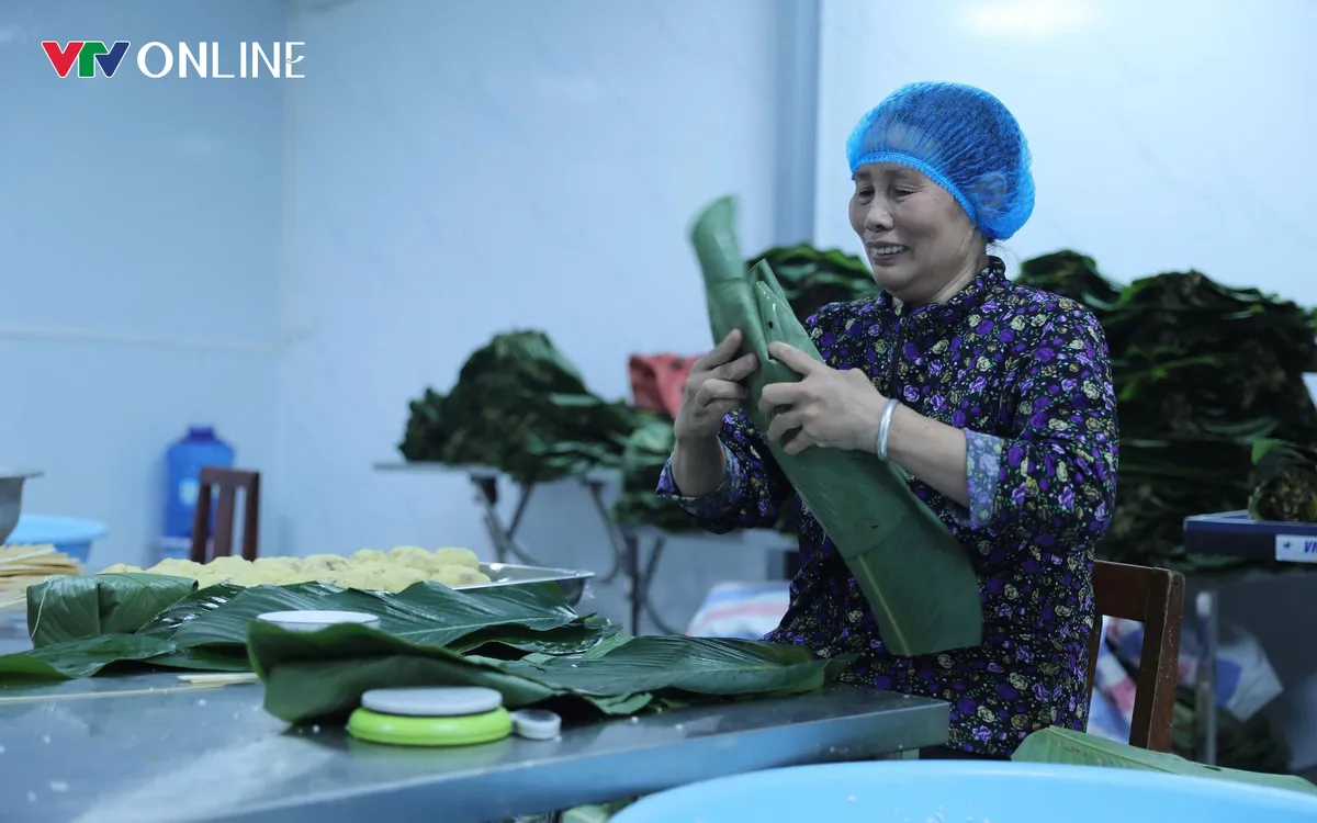 Bánh chưng Đất Tổ xã Hùng Việt có từ lâu đời, mang theo giá trị truyền thống của người Việt.