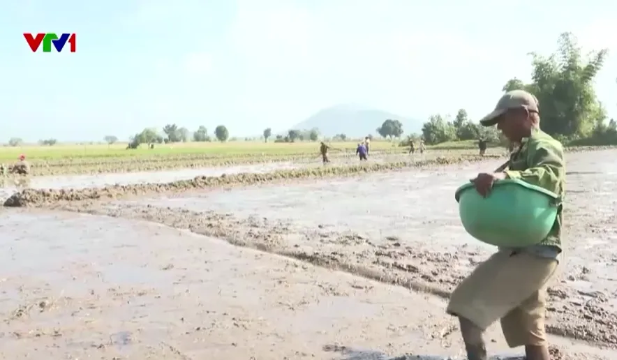 Vụ m&ugrave;a mới, m&aacute;i nh&agrave; mới: Gia Lai từng bước ổn định đời sống sau thi&ecirc;n tai - Ảnh 1.