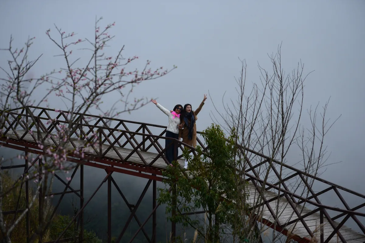 Đ&agrave;o rừng bung nở rực rỡ dưới ch&acirc;n đ&egrave;o &Ocirc; Quy Hồ- Ảnh 3.