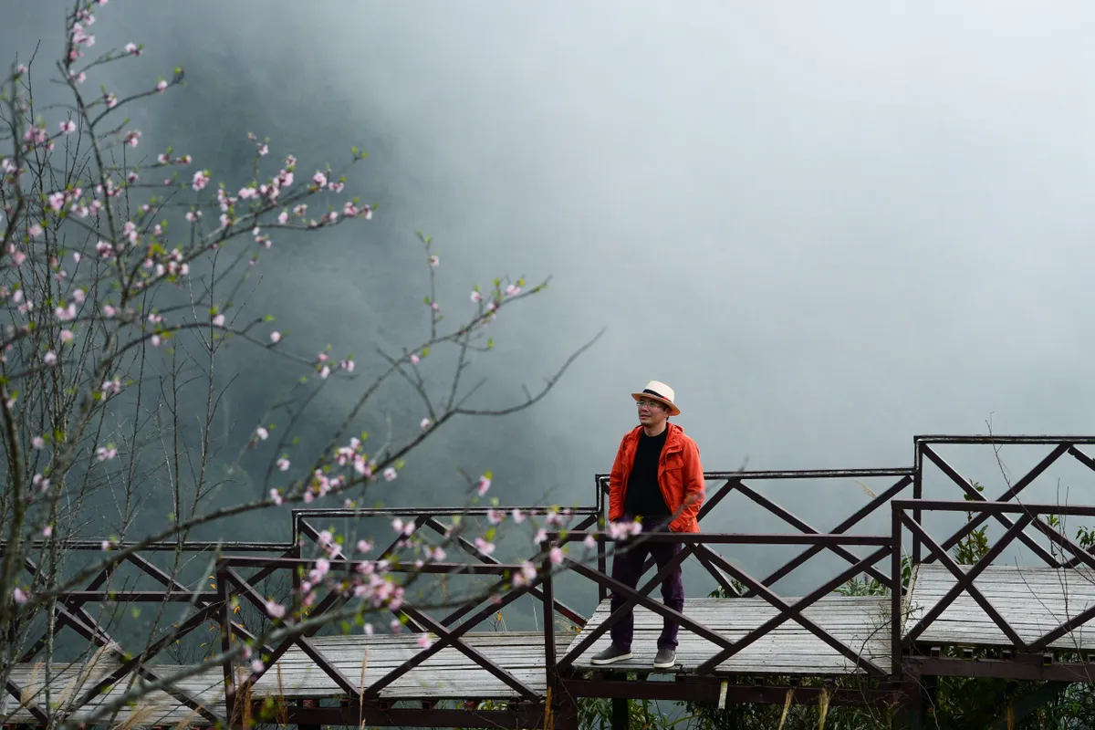 Đ&agrave;o rừng bung nở rực rỡ dưới ch&acirc;n đ&egrave;o &Ocirc; Quy Hồ- Ảnh 6.