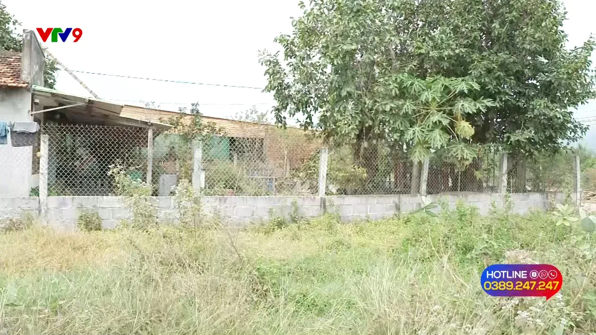 Alo V9 (05/02/2026): Bất cập áp vị trí đất khi bồi thường giải phóng mặt bằng