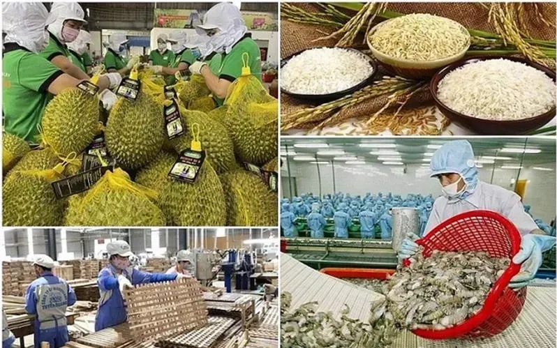 Xuất khẩu n&ocirc;ng, l&acirc;m, thủy sản th&aacute;ng 1 tăng gần 30%- Ảnh 1.