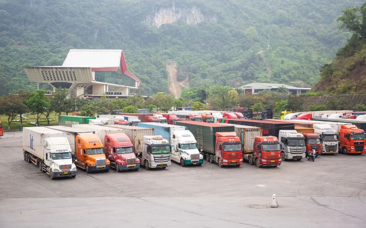 Tạm ngưng hiệu lực một số quy định mới về an to&agrave;n thực phẩm, tiếp tục &aacute;p dụng Nghị định 15/2018- Ảnh 1.