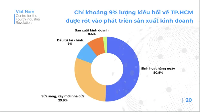 Kết nối nguồn lực từ kiều b&agrave;o với sự ph&aacute;t triển của C&aacute;ch mạng c&ocirc;ng nghiệp 4.0 tại TP Hồ Ch&iacute; Minh - Ảnh 4.