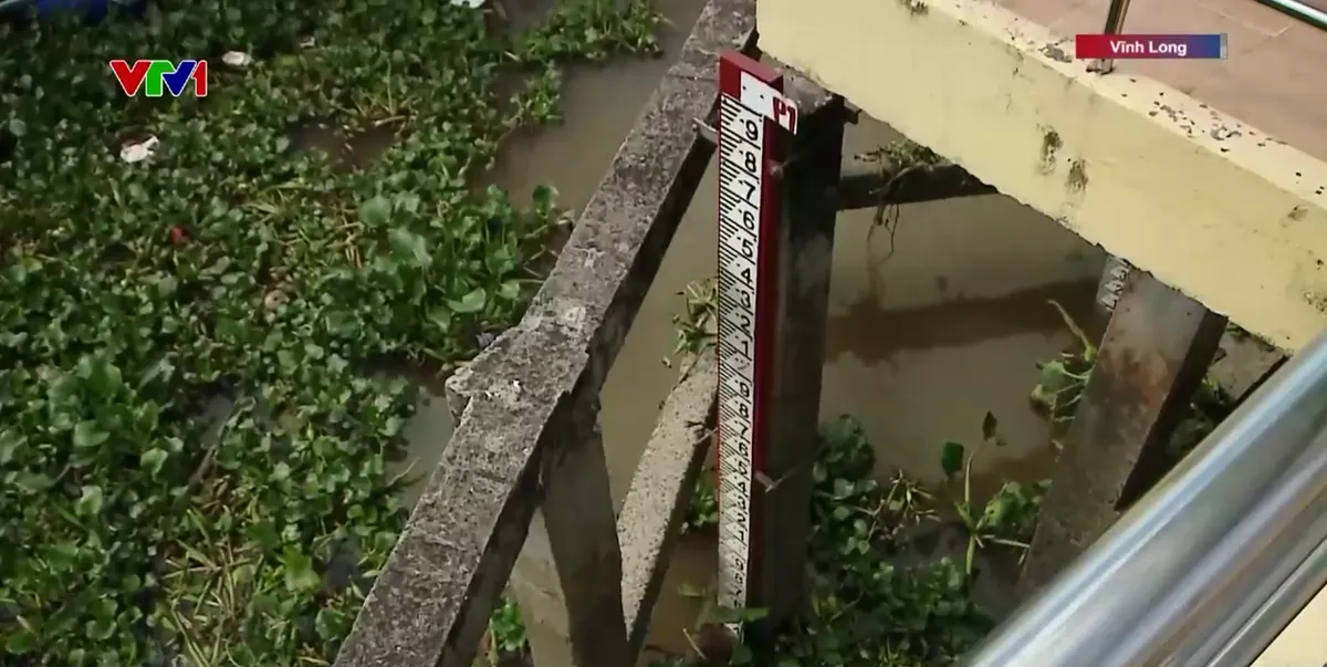 Chủ động ứng ph&oacute; x&acirc;m nhập mặn dịp Tết tại Đồng bằng s&ocirc;ng Cửu Long - Ảnh 1.