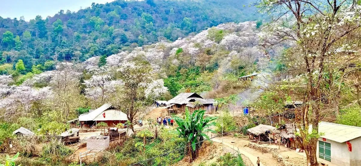 Điện Bi&ecirc;n mở rộng quy m&ocirc; Lễ hội Hoa Ban năm 2026 - Ảnh 7.