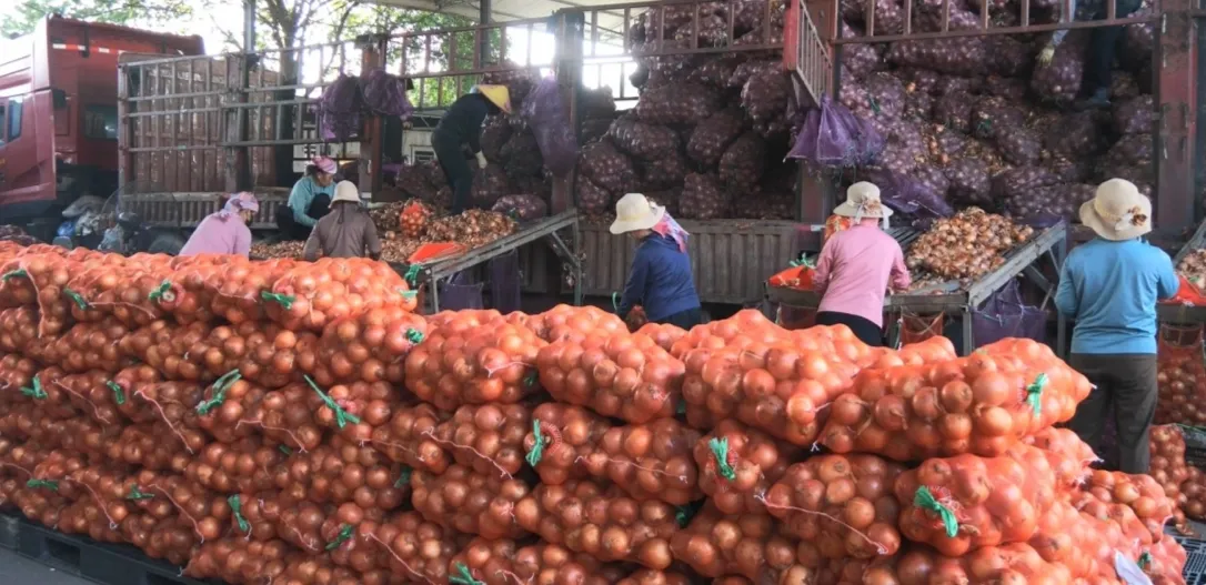 Giải ph&aacute;p khẩn cấp th&aacute;o gỡ điểm nghẽn n&ocirc;ng sản nhập khẩu tại cửa khẩu- Ảnh 1.
