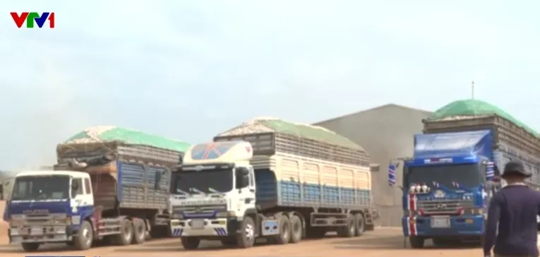 Cửa khẩu th&ocirc;ng tho&aacute;ng sau khi tạm dừng Nghị định 46- Ảnh 1.