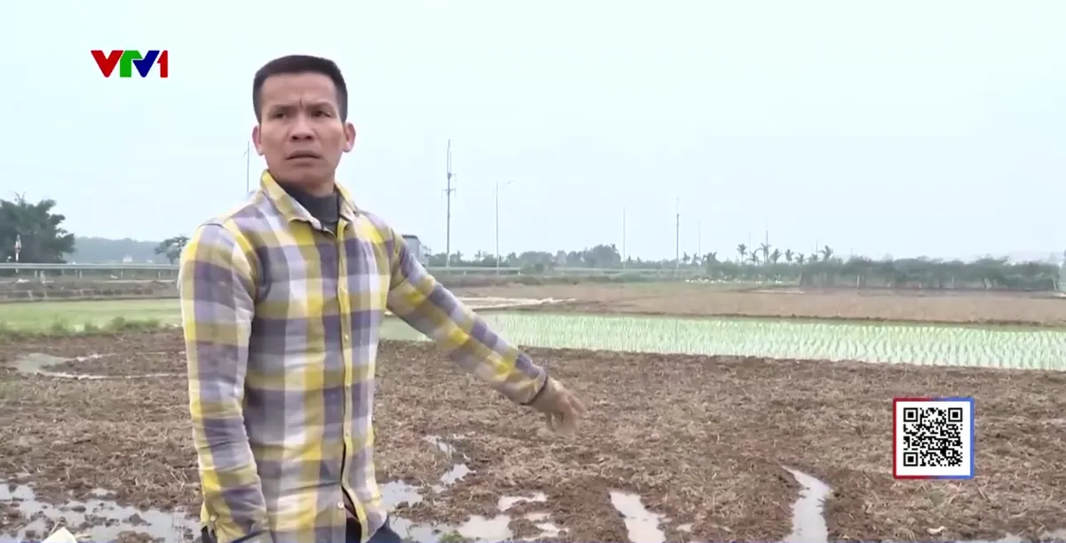 H&agrave;ng trăm hộ d&acirc;n bức x&uacute;c v&igrave; k&ecirc;nh tưới ti&ecirc;u bị lấn chiếm - Ảnh 2.