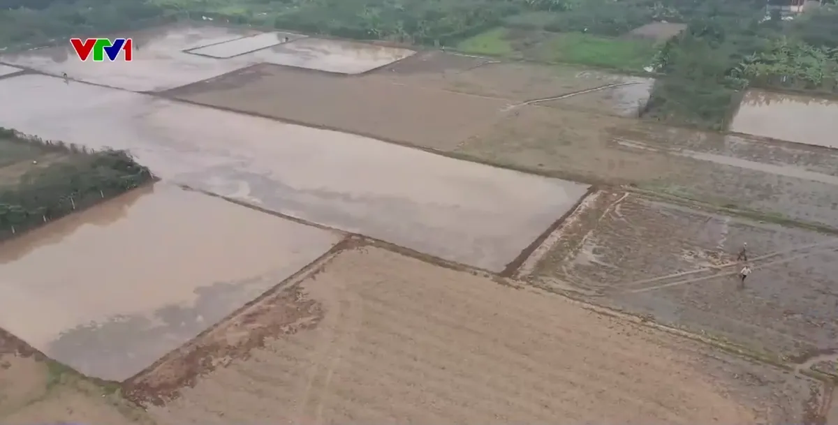 H&agrave;ng trăm hộ d&acirc;n bức x&uacute;c v&igrave; k&ecirc;nh tưới ti&ecirc;u bị lấn chiếm - Ảnh 3.