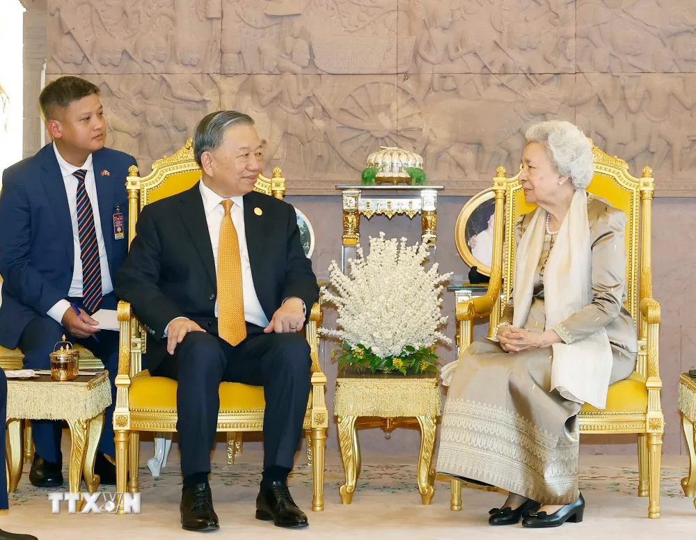 Tổng B&iacute; thư T&ocirc; L&acirc;m thăm Ho&agrave;ng th&aacute;i hậu Norodom Monineath Sihanouk - Ảnh 4.