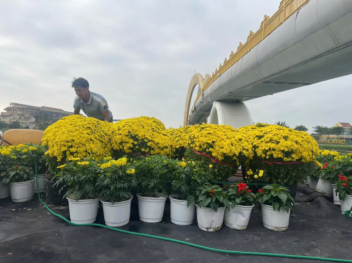 Hội An tăng chuyến vận tải, kịp đưa Tết tới người d&acirc;n C&ugrave; Lao Ch&agrave;m - Ảnh 3.