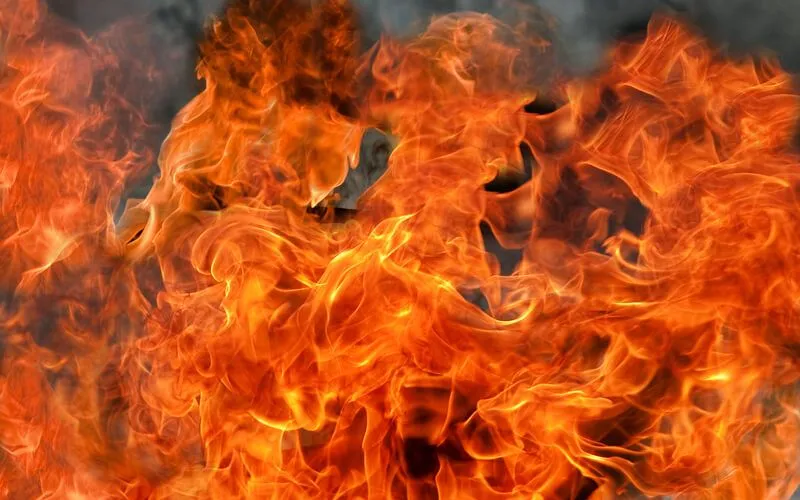 (Ảnh minh họa: TTXVN)