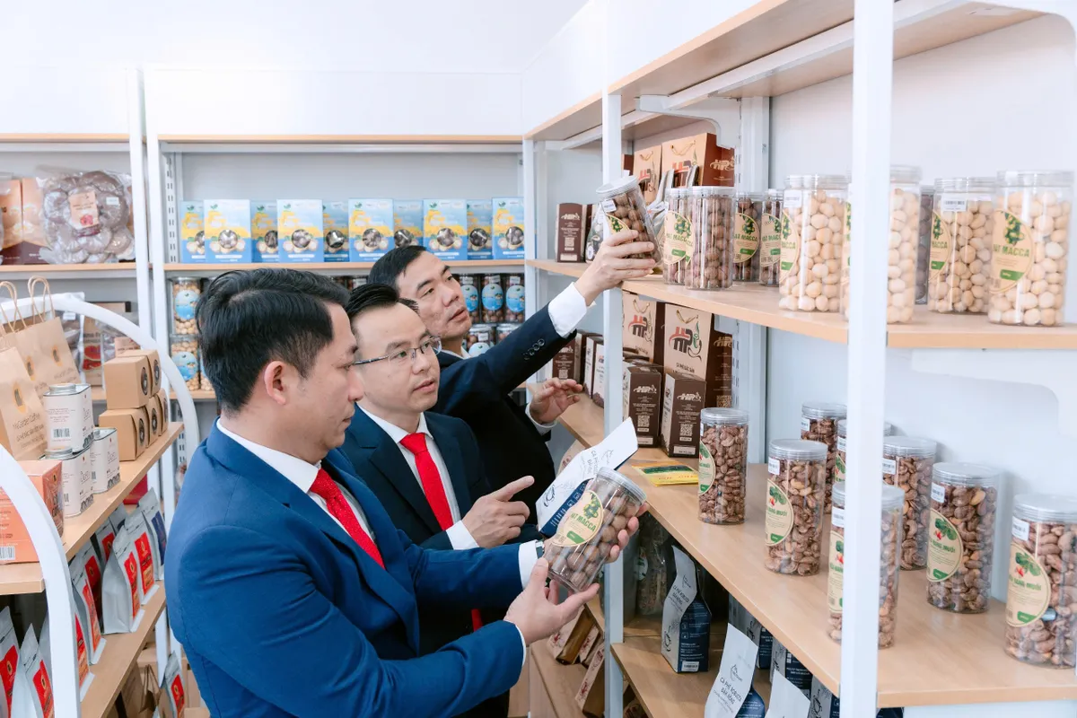 L&acirc;m Đồng: Triển khai m&ocirc; h&igrave;nh th&iacute; điểm &ldquo;X&atilde; thương mại điện tử&rdquo; - Ảnh 2.