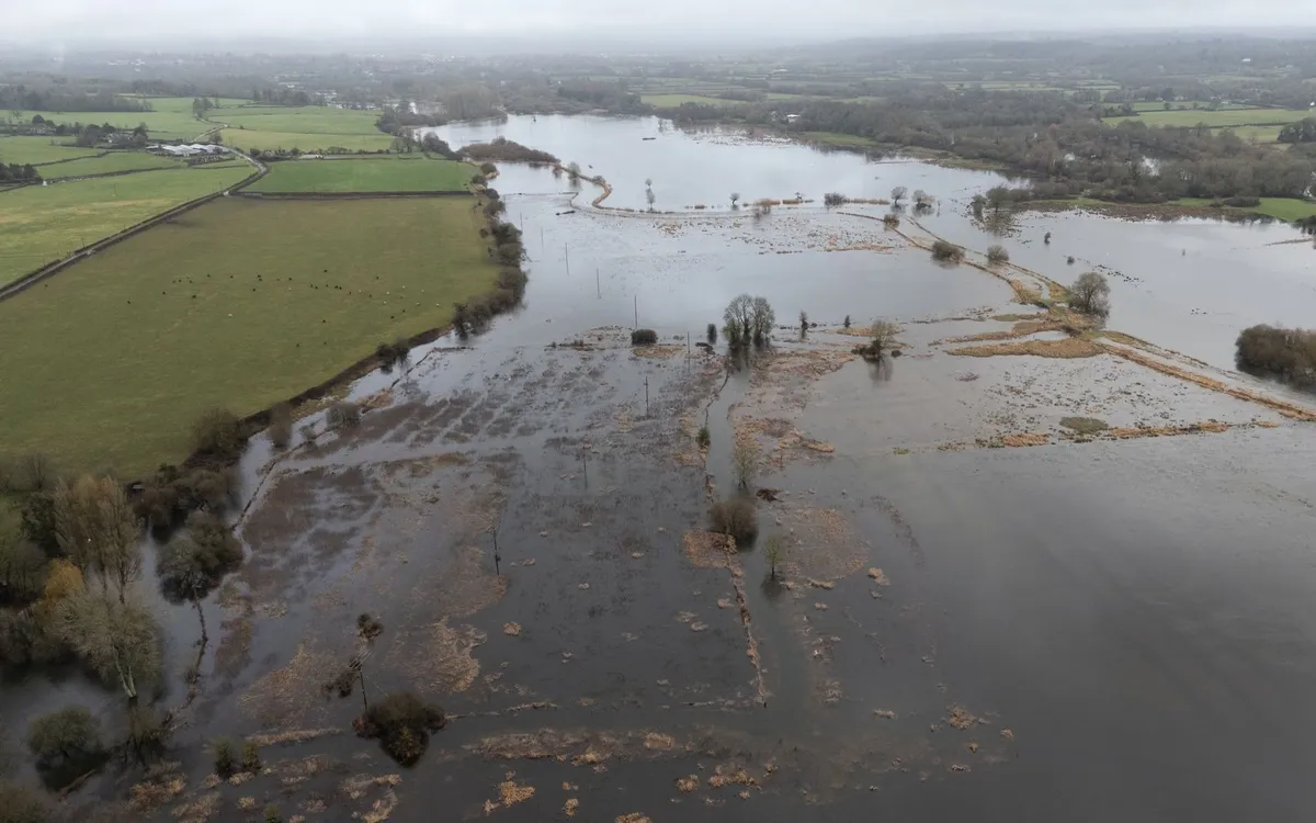 Nước lũ bao phủ các cánh đồng gần Harbridge ở Hampshire, Anh (Ảnh: PA)