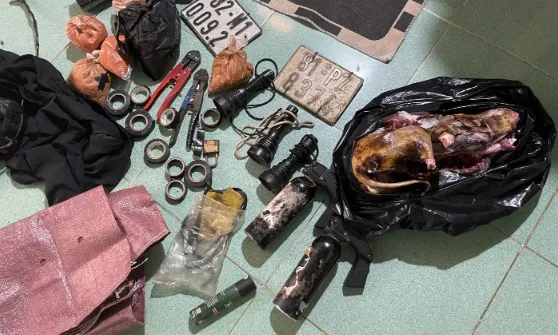 Triệt ph&aacute; đường d&acirc;y trộm cắp ch&oacute; li&ecirc;n tỉnh quy m&ocirc; lớn tại Gia Lai- Ảnh 1.