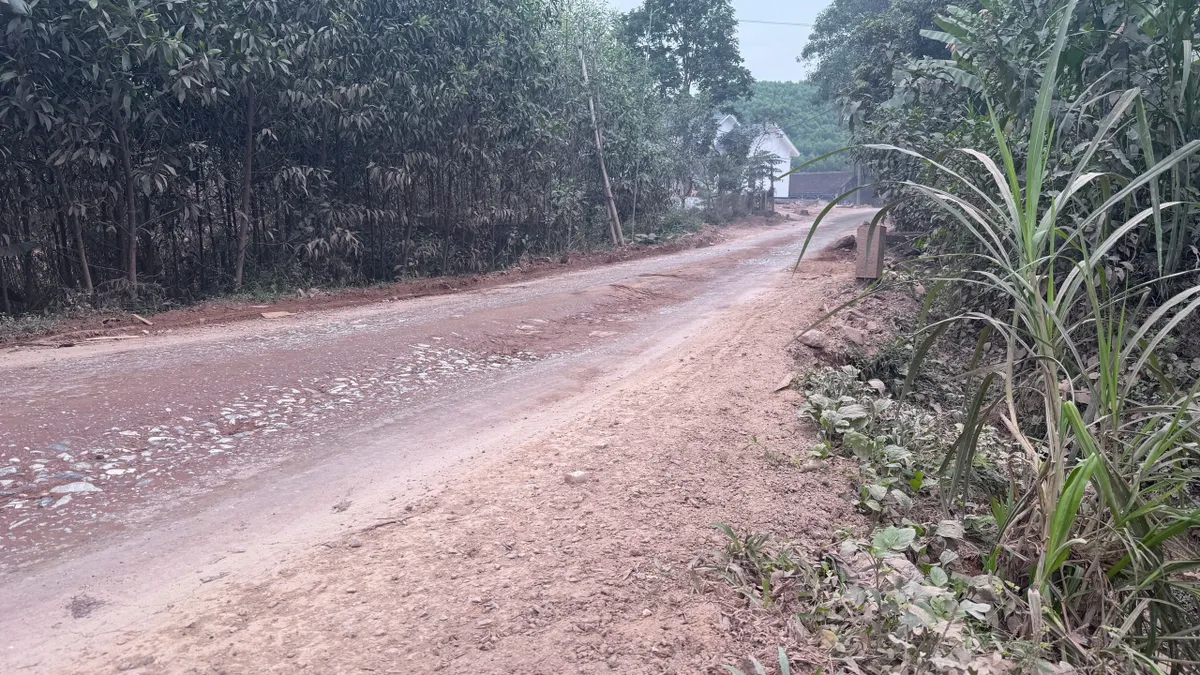 Xe trọng tải lớn “bủa vây” đường làng, báo động mất an toàn giao thông, ô nhiễm môi trường - Ảnh 8.