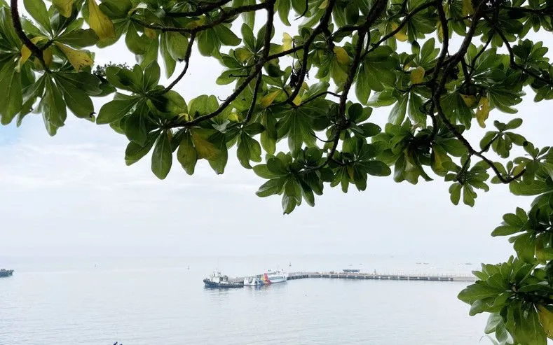 Bờ biển đảo Lý Sơn. (Ảnh: Phạm Cường/TTXVN)