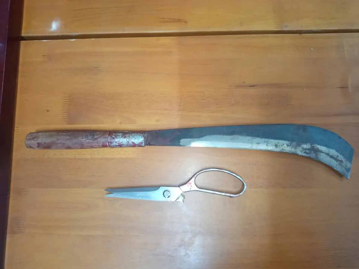 C&ocirc;ng an v&agrave;o cuộc vụ h&agrave;nh hung bằng hung kh&iacute; ở Cửa khẩu Cha Lo   - Ảnh 1.